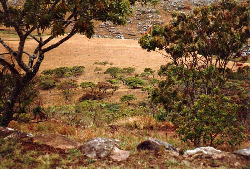 049chimanimani.jpg