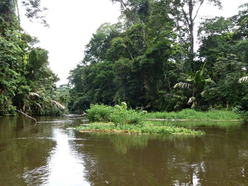 0665tortuguerojpg.jpg