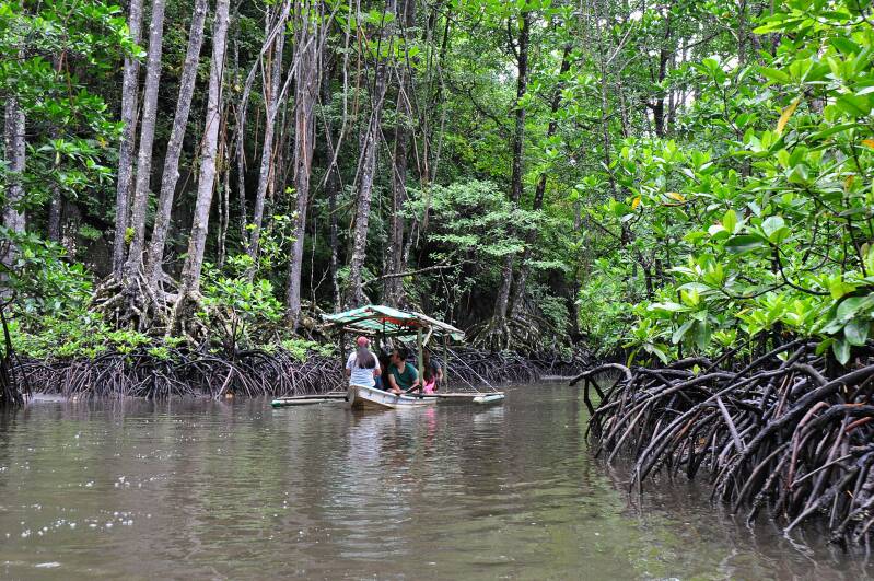 0718sabangsabangmangroveforestjpg.jpg