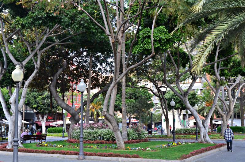 0797laspalmasdegrancanariaparquedesantacatalinajpg.jpg
