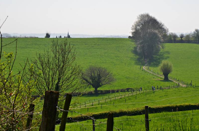 110wandelingomgevingmechelen-epenjpg.jpg