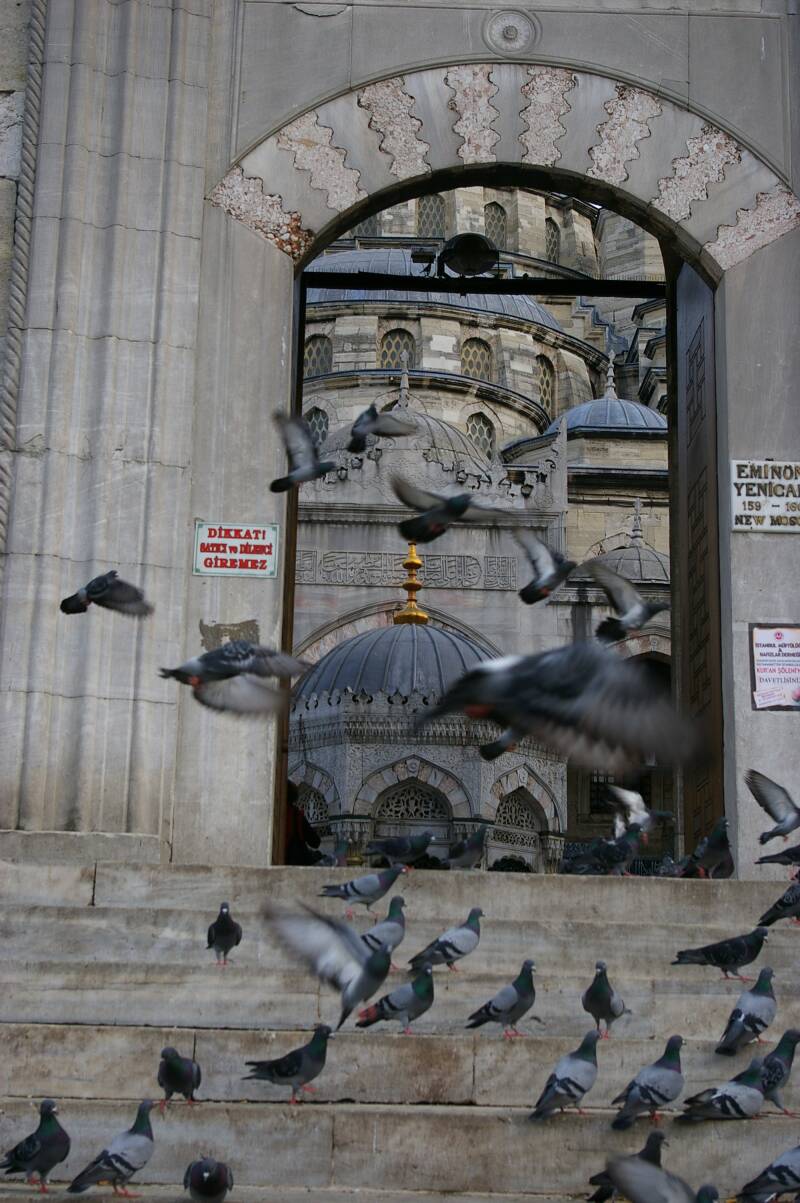 166duivenbijdenieuwemoskee.jpg