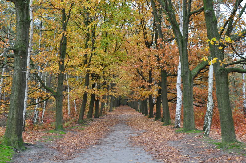 2010-11boslievensberg07jpg.jpg