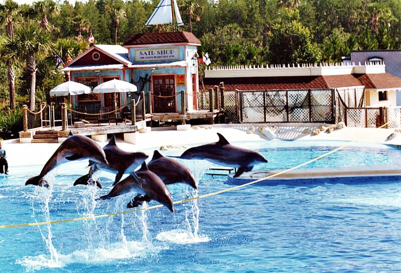 365seaworlddolfijnen.jpg