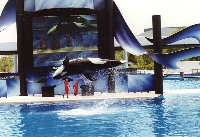 383seaworldorkashow.jpg
