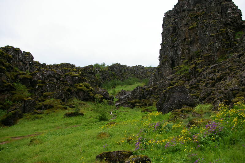 afbeelding019thingvellir.jpg