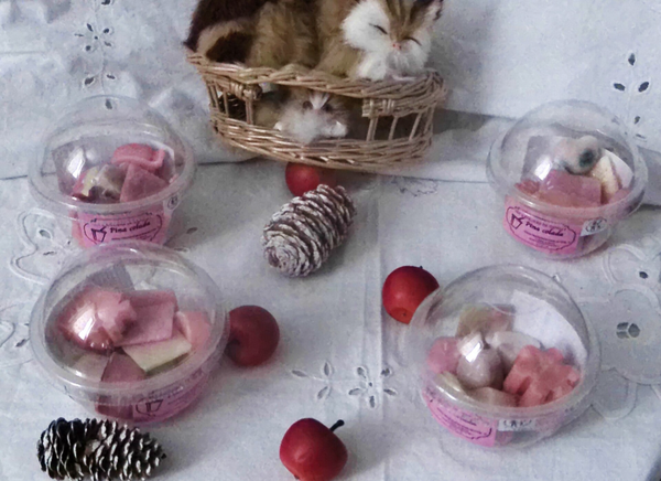 GOBELET DE 10 FONDANTS "PINA COLADA"