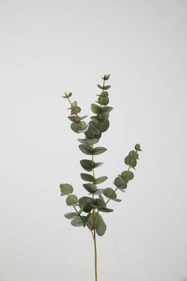 47 Eucalyptus spray 81 cm