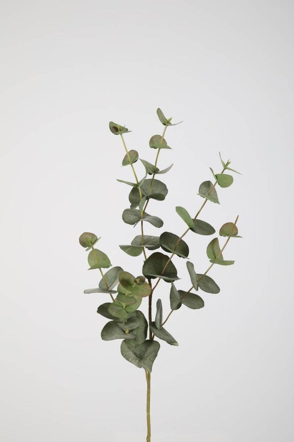 48 Eucalyptus spray 88 cm