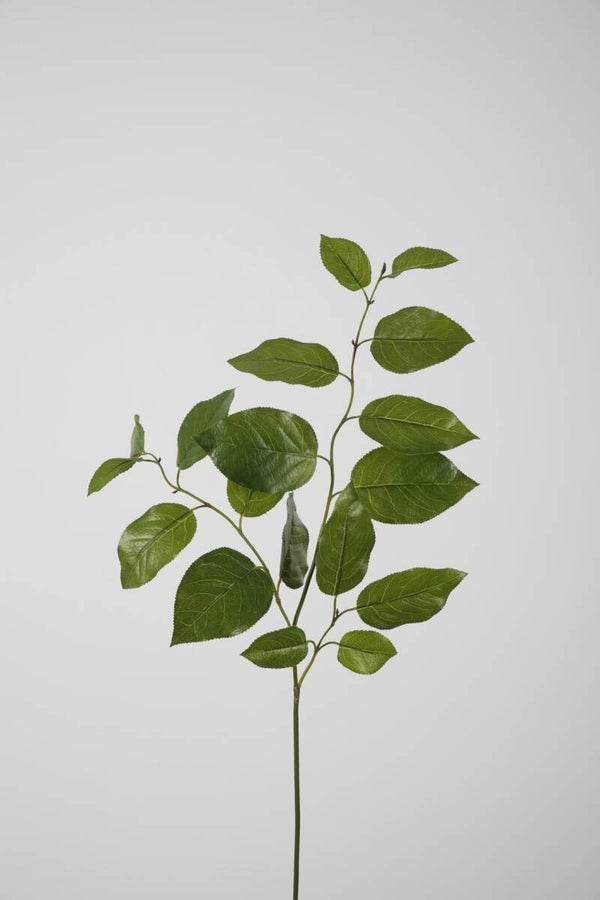 45 Salal Leaf Spray