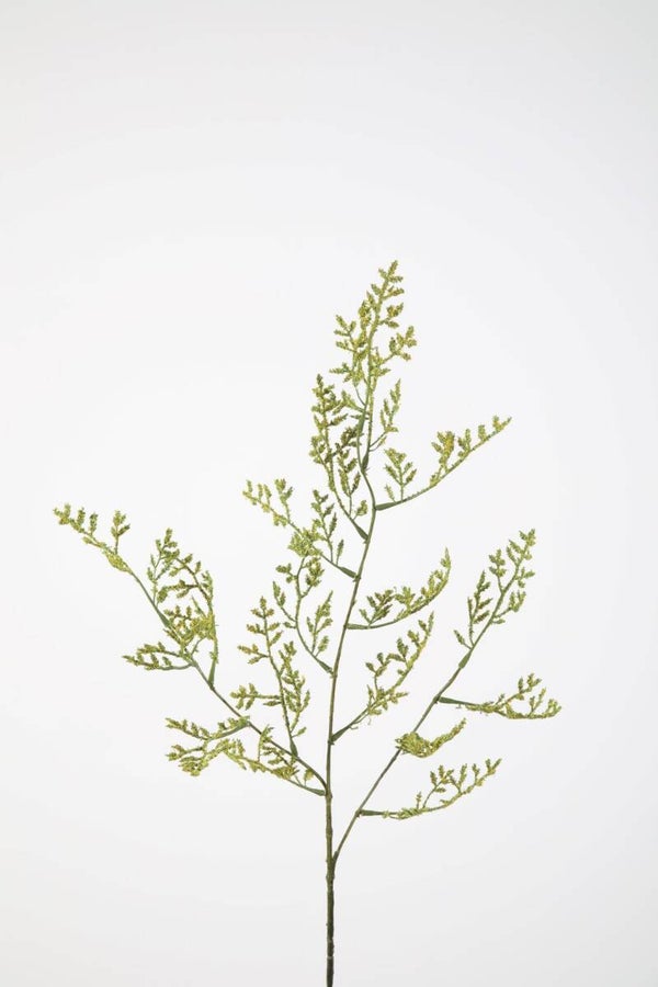 42 Limonium 90 cm