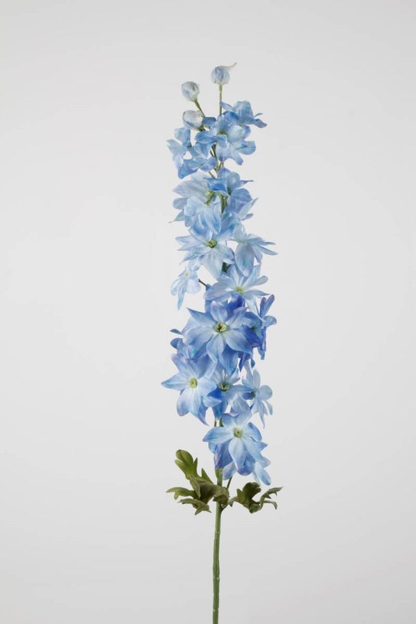 16 Delphinum sten 89 cm