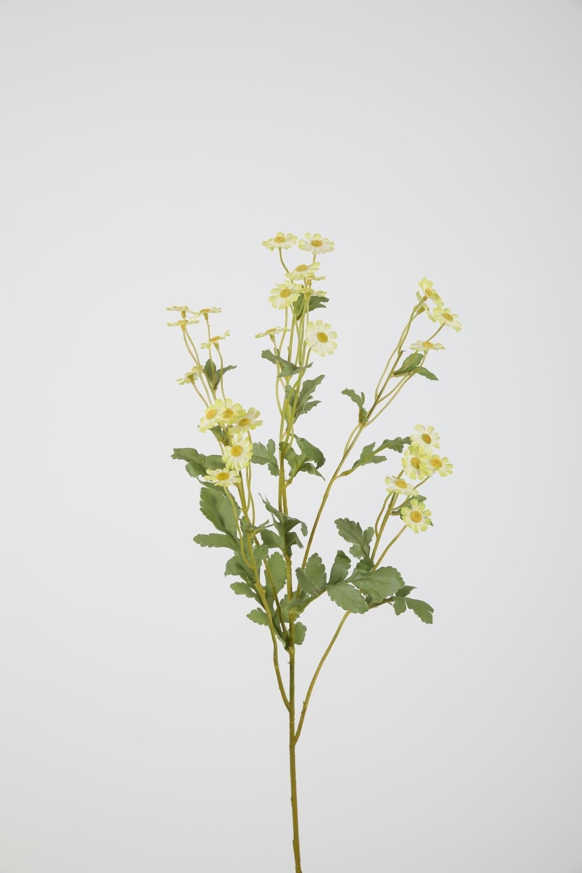 23 Bee daisy spray 66 cm