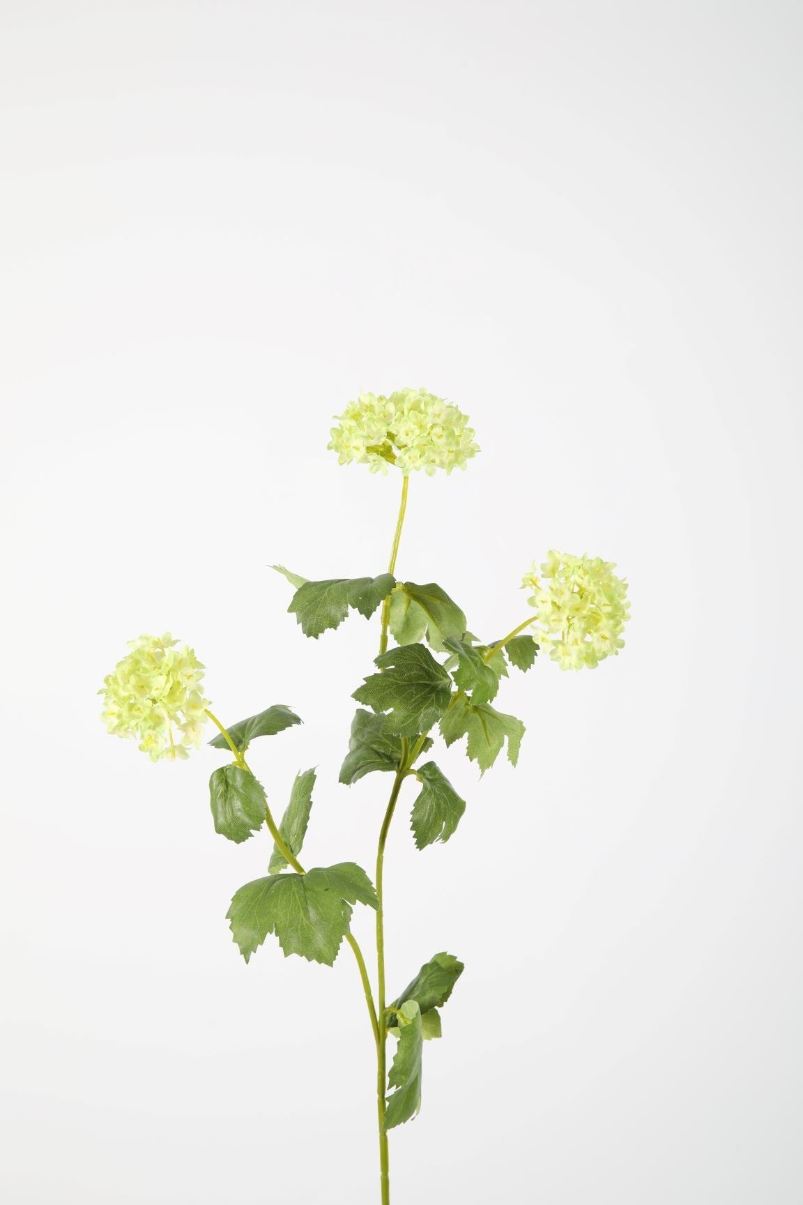 24 Snowball Branch 70 cm