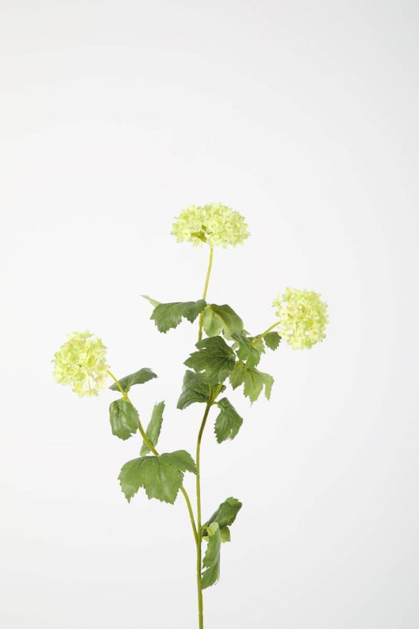 24 Snowball Branch 70 cm