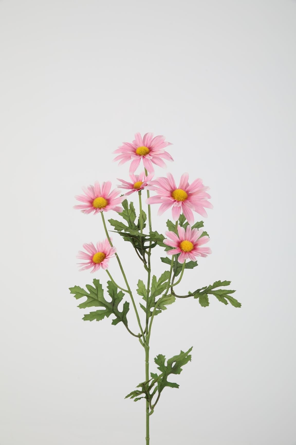 11 Daisy spray 70 cm