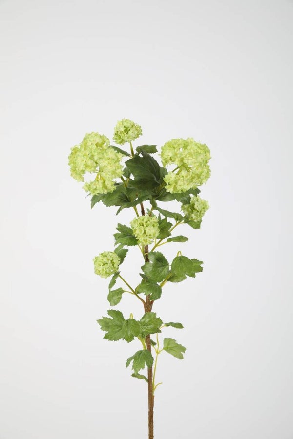 25 Snowball branch 97 cm
