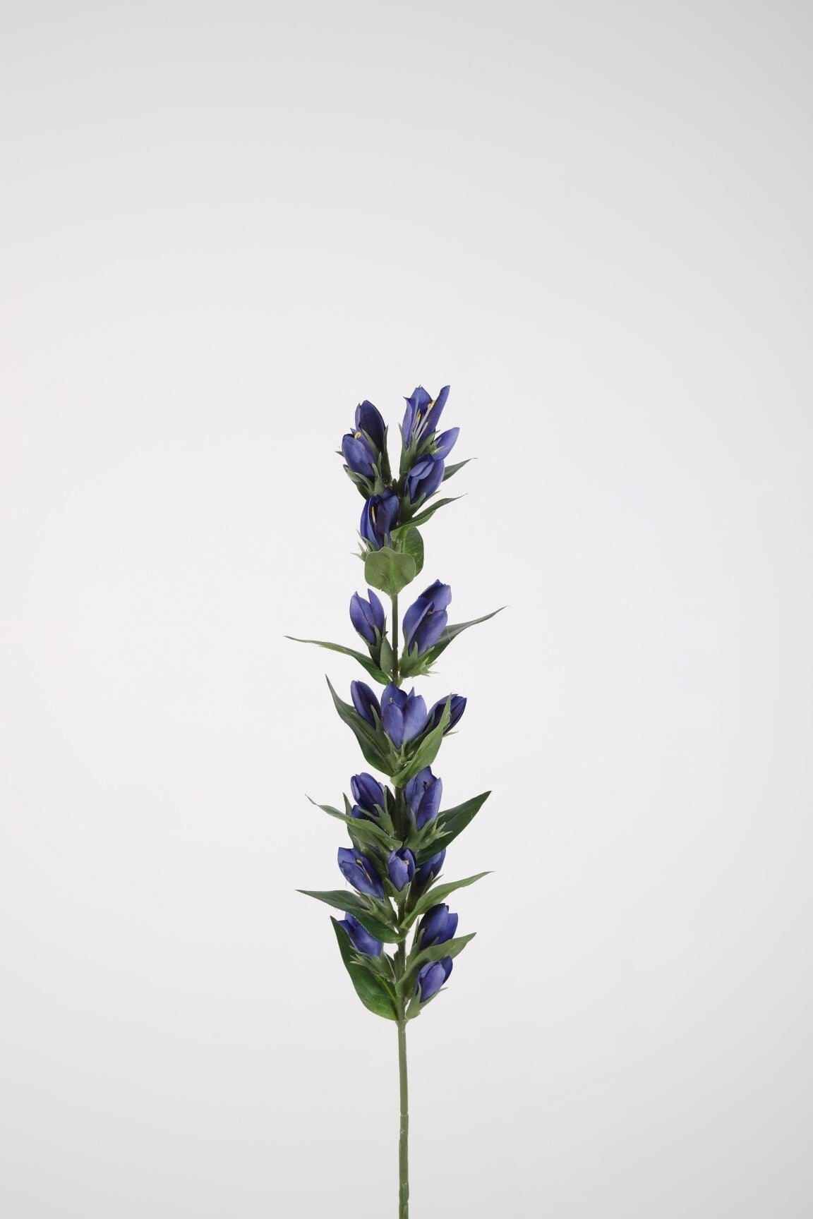 17 Gentian sten 66 cm
