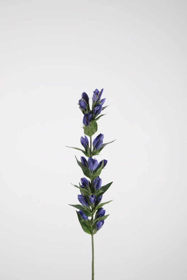 17 Gentian sten 66 cm