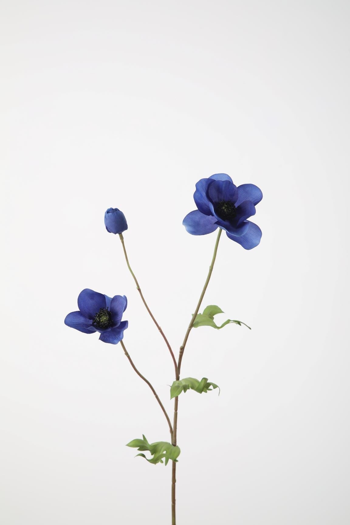15 Anemone spray 64 cm