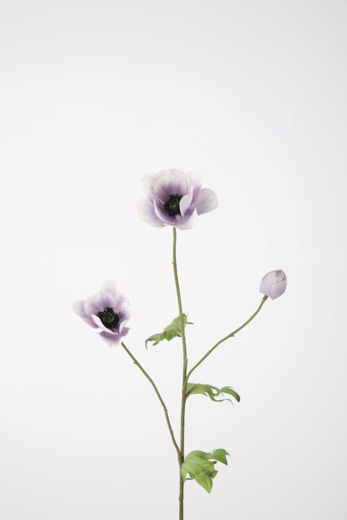 14 Anemone spray 64 cm lavendel kleur