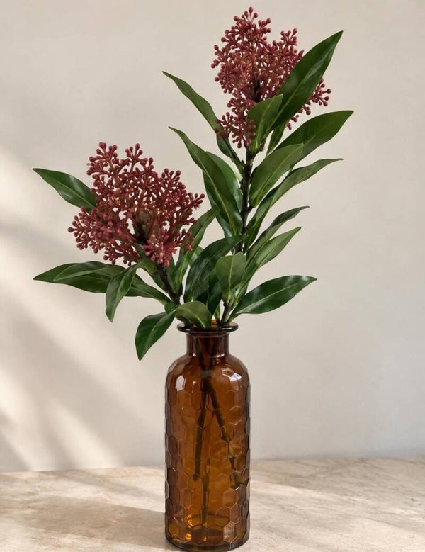 Skimmia Takje met vaasje