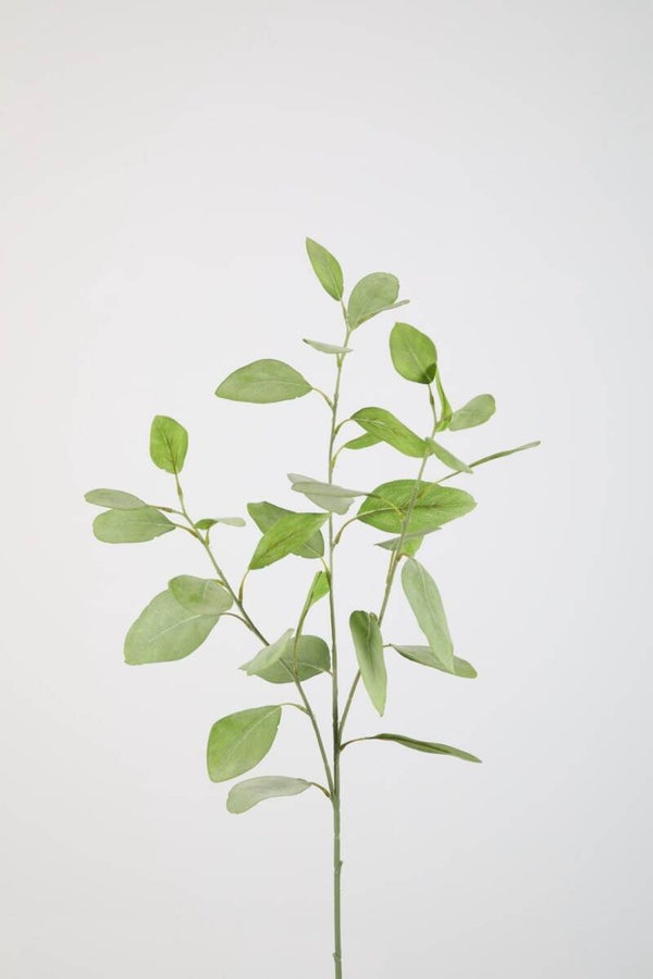 71 Eucalyptus Spray 82 cm