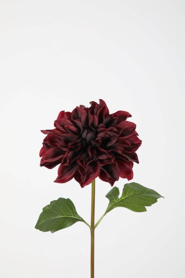 74 Dahlia Stem 80 cm