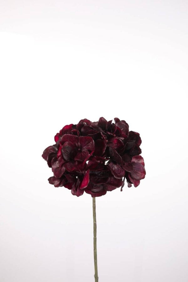 Hydrangea Single Stem 67 cm Bordeaux