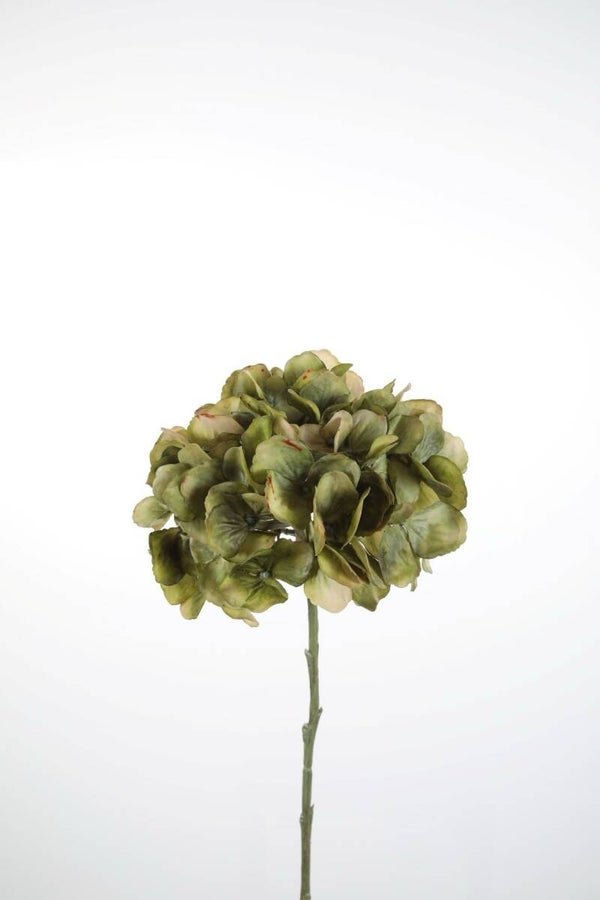 Hydrangea Single Stem 67 cm