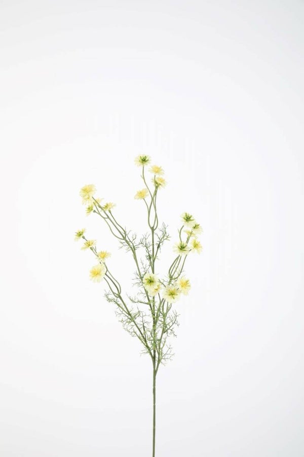 65 Wild Daisy Spray 72 cm