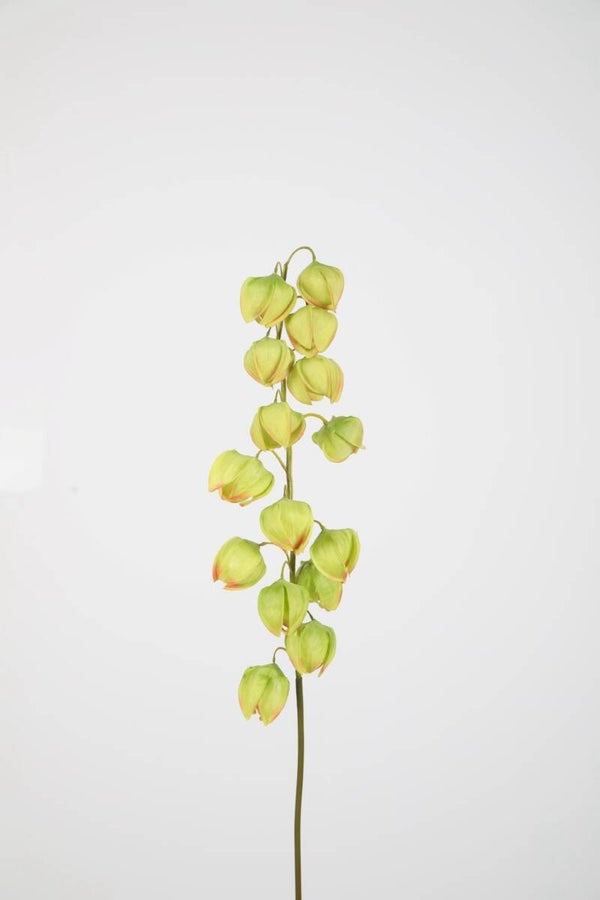 66 Physalis lantern Spray 81 cm