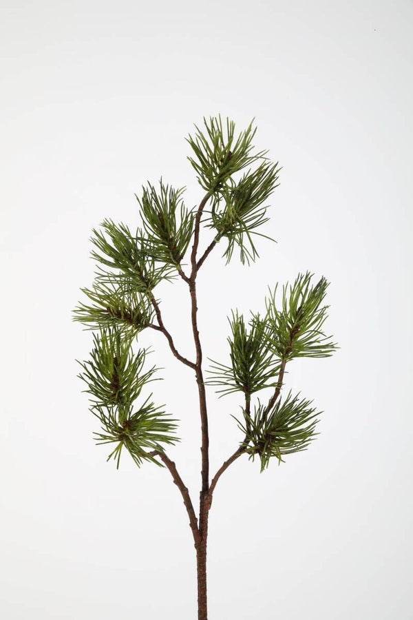 68 Pine Spray 72 cm