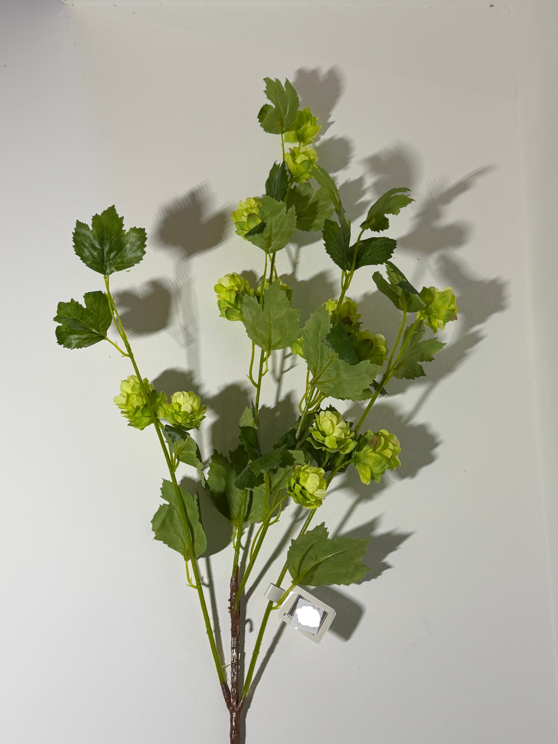 32 Hop spring spray 102 cm