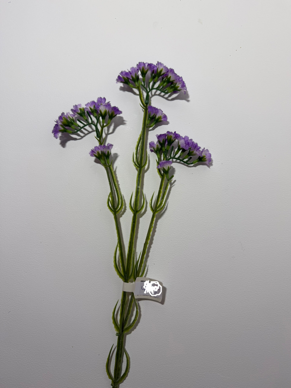 30 Limonium spray 63 cm