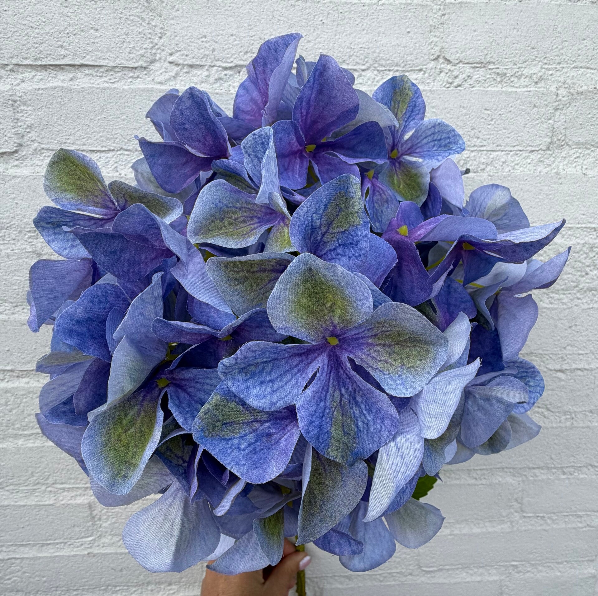 Grote XXL Hortensia 95 cm blauw Lavendel