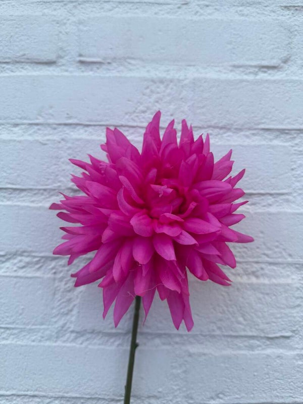 Dahlia fel roze 65 cm