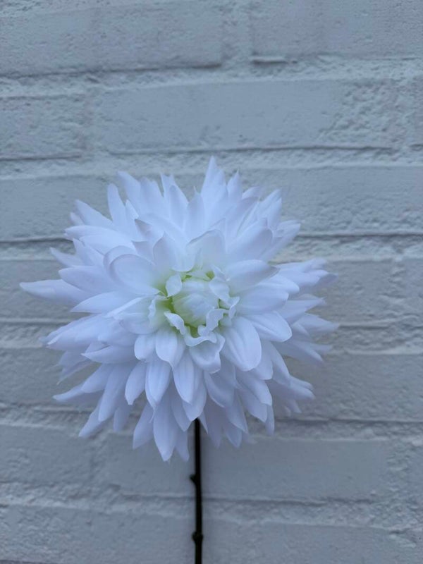 Dahlia wit 65 cm