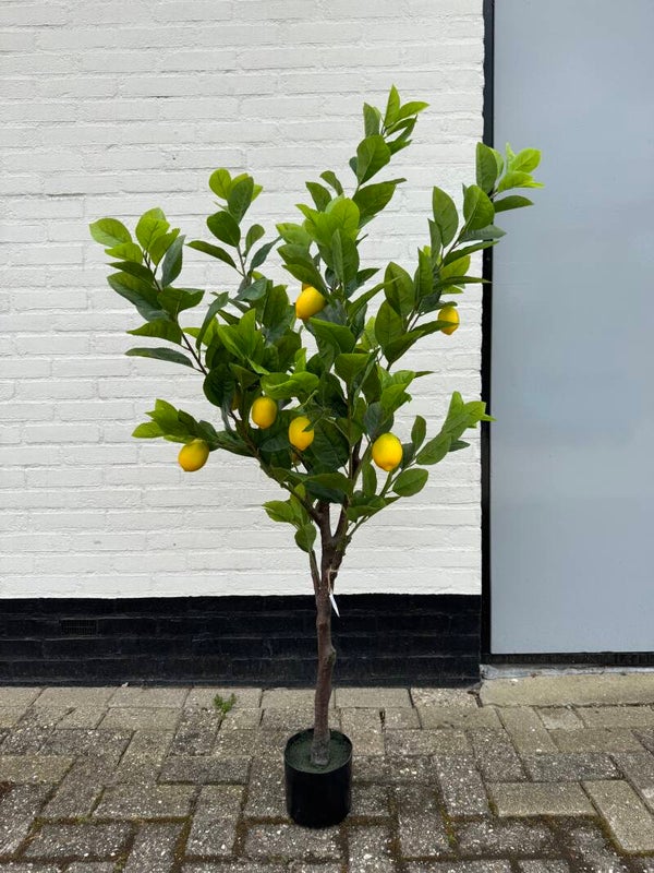 Citroenboom kunst 150cm hoog
