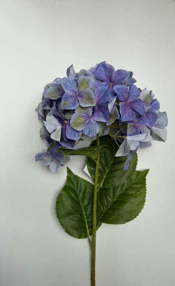 Grote XXL Hortensia 95 cm blauw Lavendel