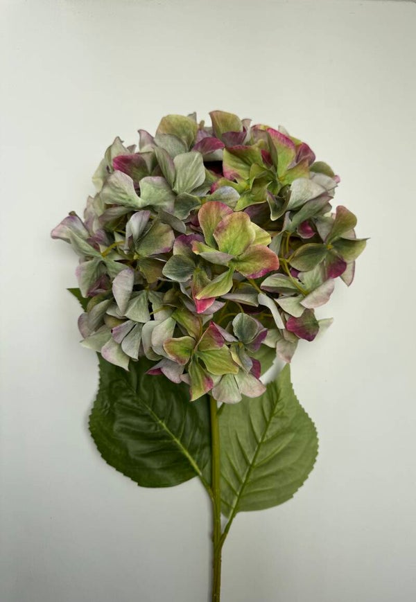 Grote XXL Hortensia 95 cm kleur Groen