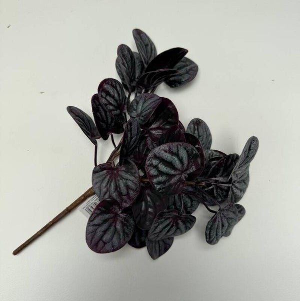 insteekplantje bordeauxrood met groen 25 cm