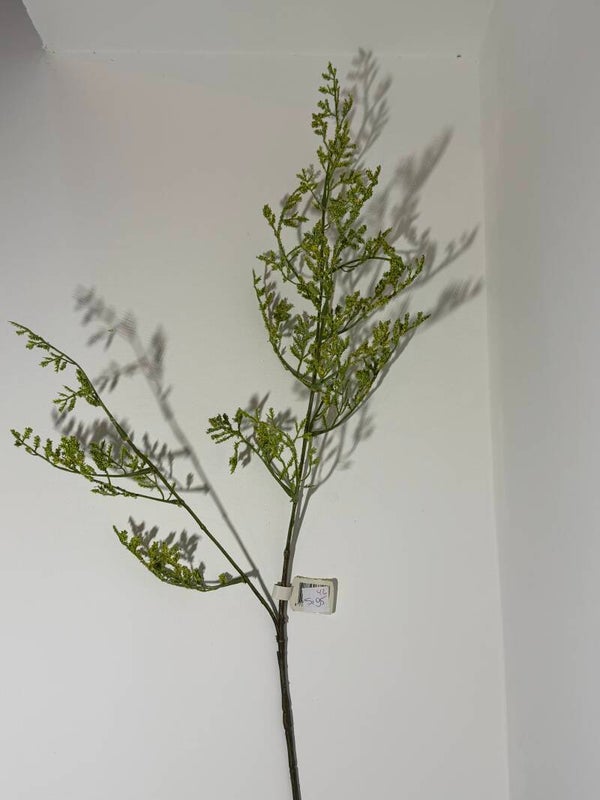 42 Limonium 90 cm