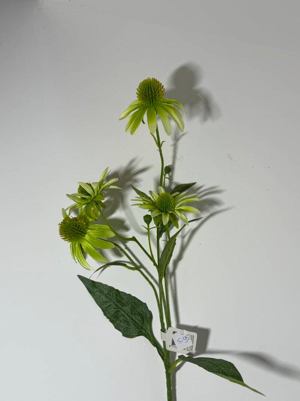 8 Echinacea spray 72 cm