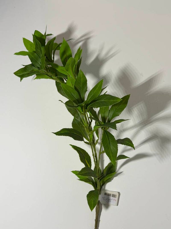 44 Japonica sten 60 cm