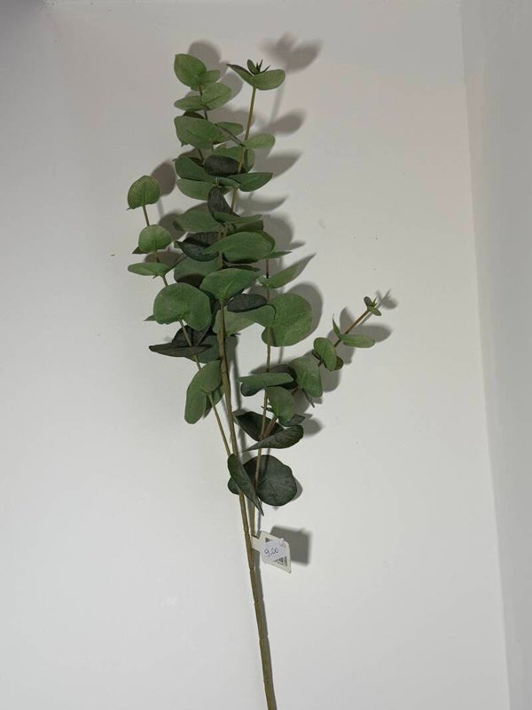 48 Eucalyptus spray 88 cm