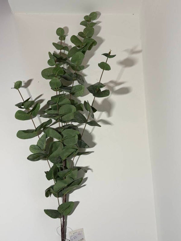 46 Eucalyptus 100 cm