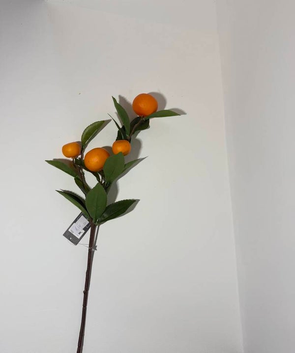 50 Sinaasappel tak