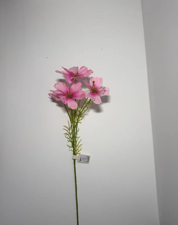 6 Cosmos spray 67 cm