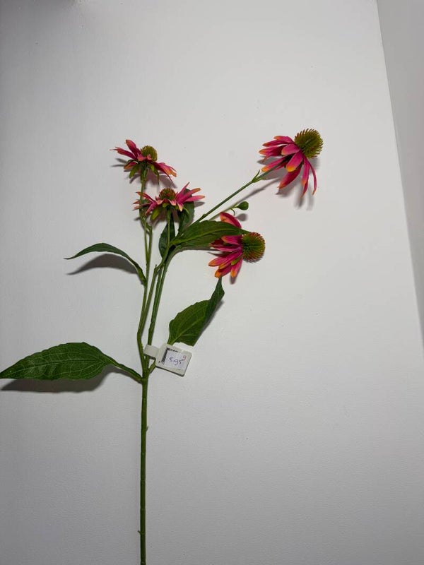 9 Echinacea spray 72 cm